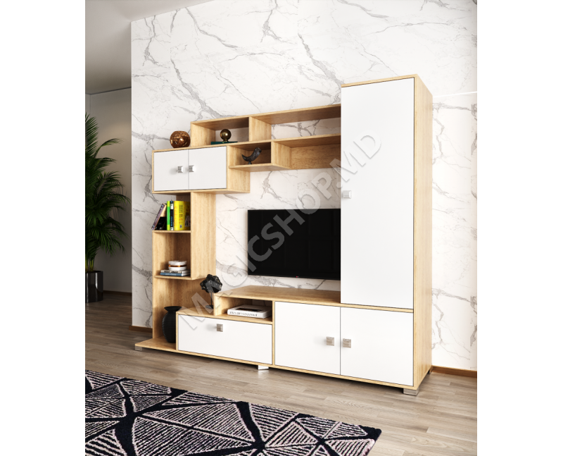 Living ML - 11(2100)